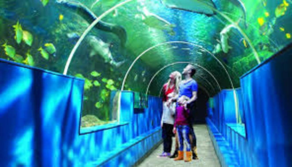 Travellers Retreat Hotell Poole Eksteriør bilde